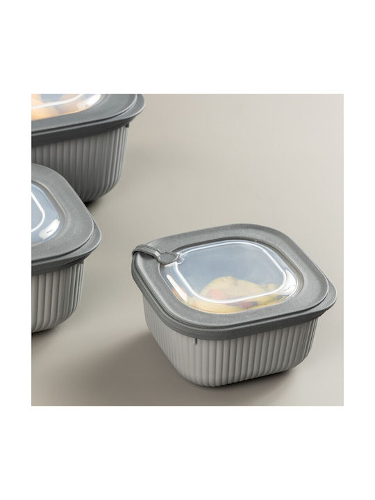 Viosarp Cutie pentru Mâncare Plastic Transparent Potrivit pentru Cuptor cu Microunde 600ml 1buc