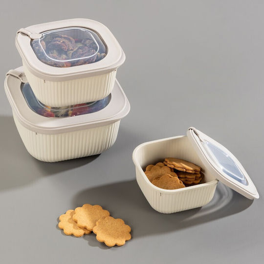 Viosarp Microwave Plastic Lunch Box Transparent 600ml