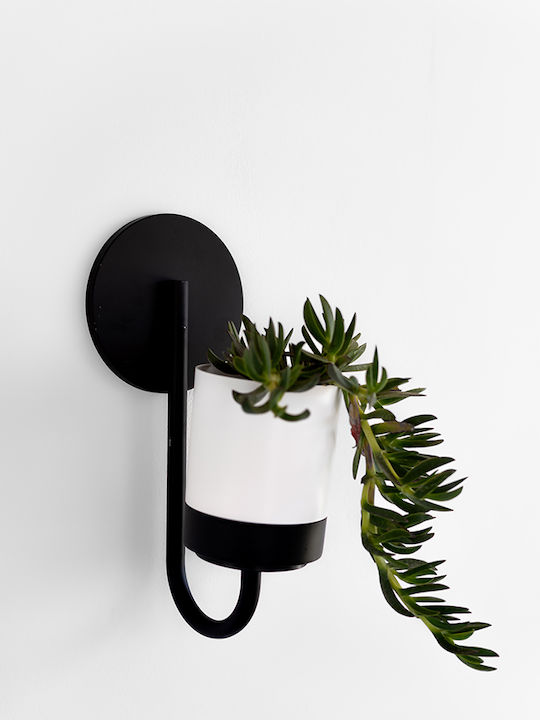 Prosperplast Flower Hanging Planter Plastic White 64.5x64.5cm.