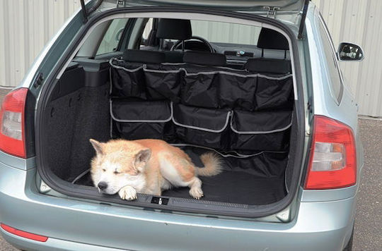Compass Seat Cover Car for Dog Black