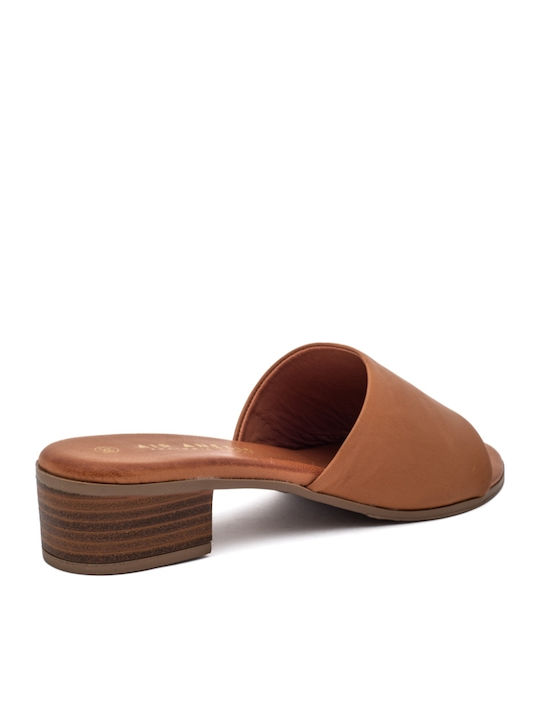 Leather Mules with Chunky Heel in Brown Color