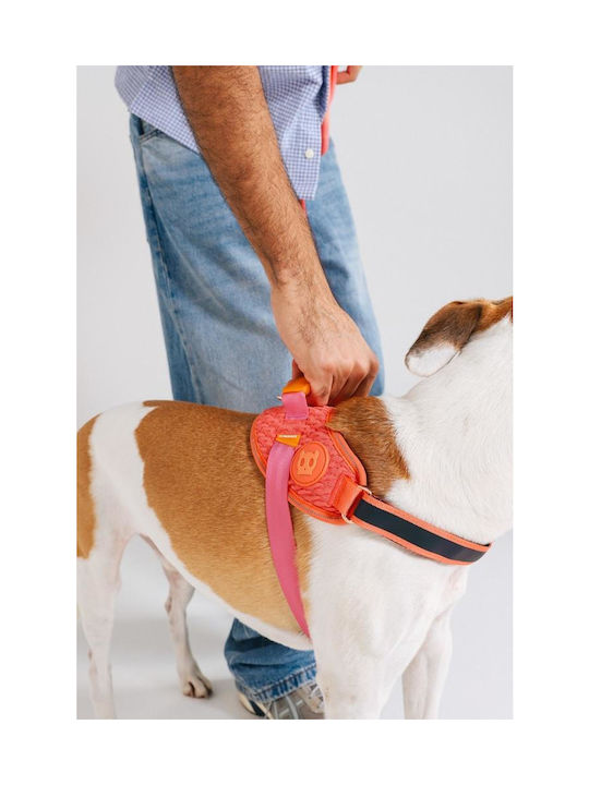 Zee-Dog Fly Harness Zee-Dog Fly Harness
