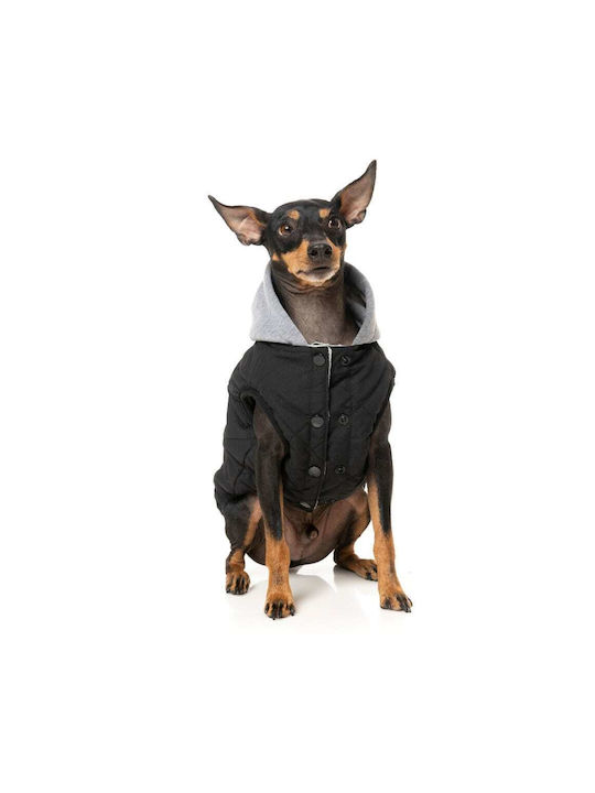 Fuzzyard Hundemantel Schwarz Groß / XSklein mit Rückenlänge 70 cm.