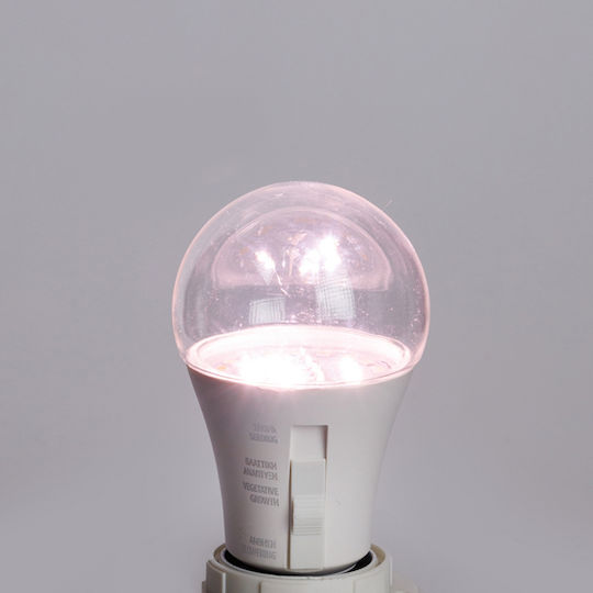 Eurolamp Pendant Grow Light with LED and Power 9W