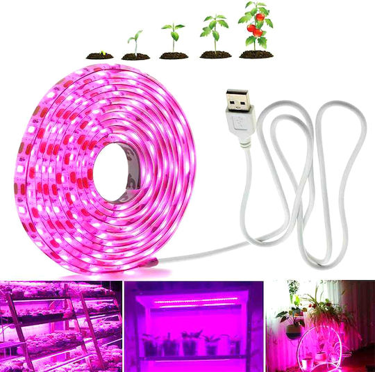 Grow Light με LED 3εκ.