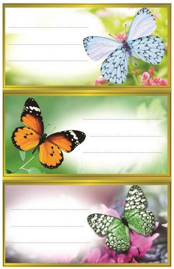 Global Gift Fluturi Etichete Pentru Caiete 7x3.3cm 16 Bucăți