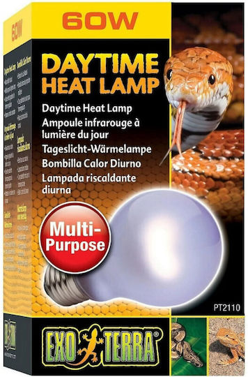 Exo Terra Daytime Heat Accessory for Reptiles Terrarium