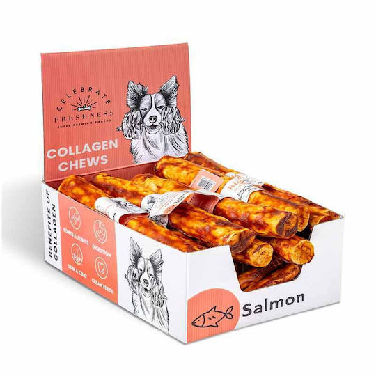 Celebrate Freshness Bone Training for Dogs with Salmon Flavor 25cm 95gr