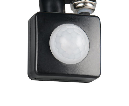Trio Lighting Lumină de exterior montată pe perete