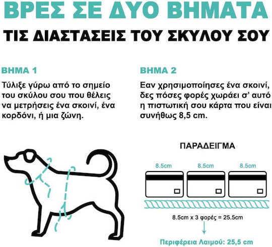Zee-Dog Lesă/Cordon Câine Curea în culoarea Gri