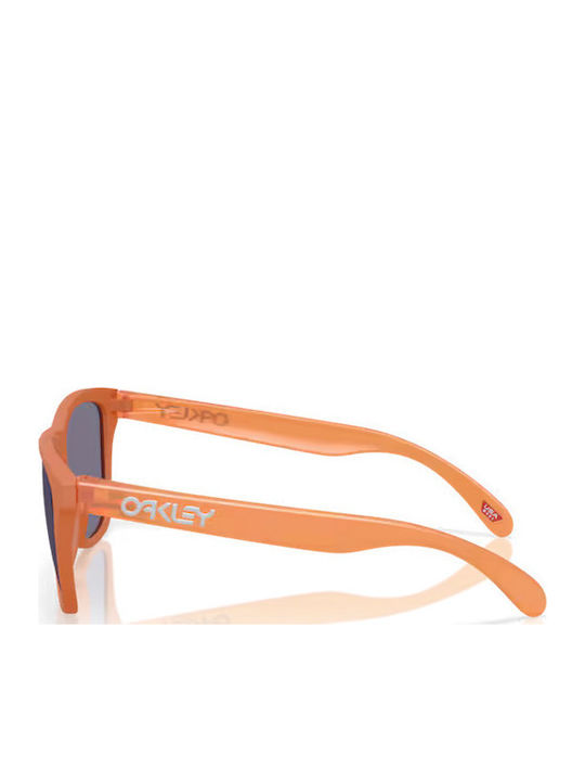 Oakley Frogskins Γυαλιά Ηλίου με Κοκκάλινο Σκελετό Oakley Frogskins Γυαλιά Ηλίου με Κοκκάλινο Σκελετό