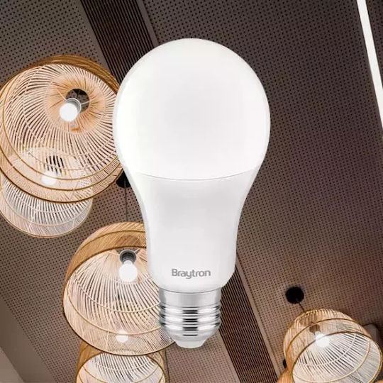 Braytron LED Bulb 13W for Socket E27 Warm White 13lm