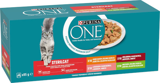 Purina One Nassfutter für Katzen in Dose mit Rindfleisch, Huhn, Lachs und Türkei 40x85gr