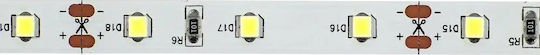Eco Light Ταινία LED 12V Φυσικό Λευκό Φως 5m Τύπου SMD2835