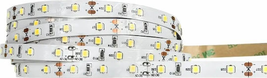 Eco Light Ταινία LED 12V Φυσικό Λευκό Φως 5m Τύπου SMD2835