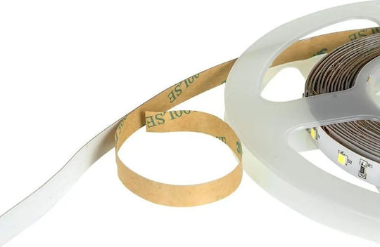 Eco Light Ταινία LED 12V Φυσικό Λευκό Φως 5m Τύπου SMD2835