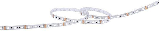 Geyer Rezistent la apă Bandă LED 24V Alb Cald Lumină 5m Tip SMD2835
