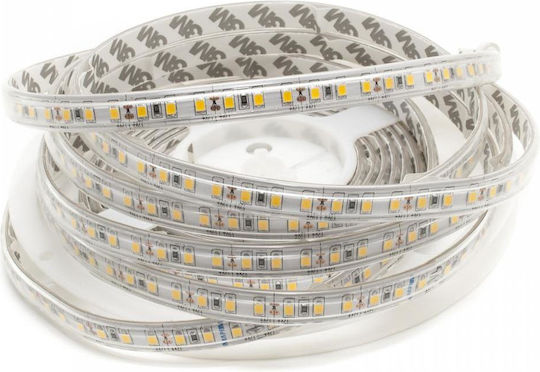 Aca Rezistent la apă Bandă LED 24V Albastru Lumină 1m
