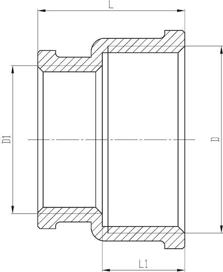 Invena Feminin Conexiune Țeavă din Alamă 1" / 3/4" 1mm H/ZM-09-253