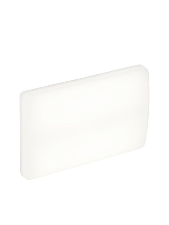 Lena Lighting Wall-Mounted Outdoor Ceiling Light LED IP54 6W with Natural White Light