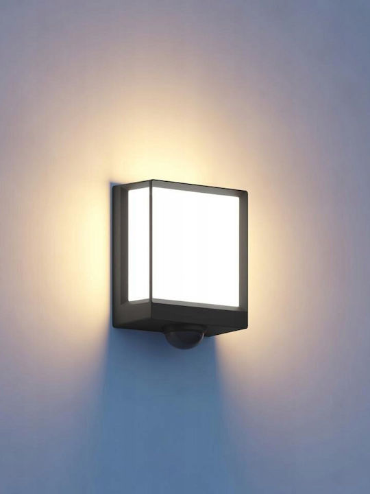 Steinel Wandmontierte Außenleuchte LED