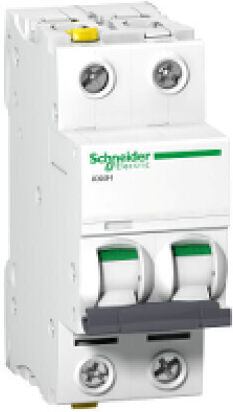 Schneider Electric Automatischer Schutzschalter 4A Zweipolig AC/DC A9F07204