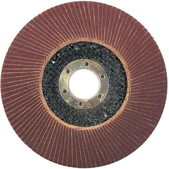 Proline Δίσκος Λείανσης Αλουμινίου και Ξύλου 115mm