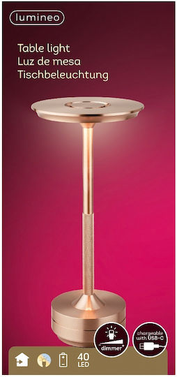 Lumineo Dekorative Lampe Kupfer