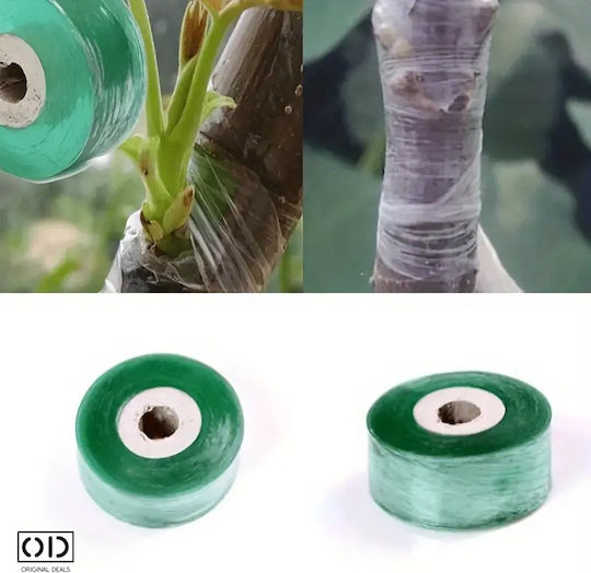 Grafting Tape Fruit Trees Premium Efficiency Material Transparent Size 100m X 6cm Original Deals
