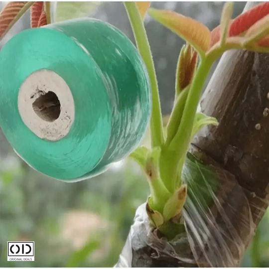 Grafting Tape Fruit Trees Premium Efficiency Material Transparent Size 100m X 2cm Original Deals