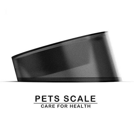 Stainless Steel Food Bowl for Dog & Cat 17cm with Scale