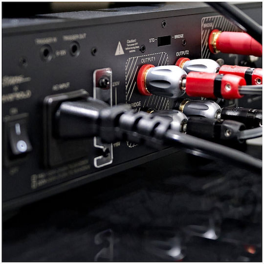 Eversolo AMP-F2 Усилвател на мощност Hi-Fi усилвател Stereo 250W/4Ω 145W/8Ω EVERSOLO-AMP-AF2