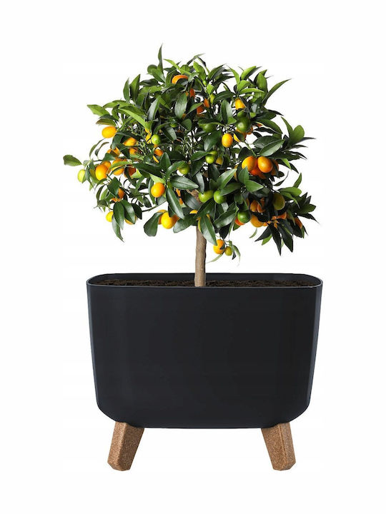 Prosperplast Gracia Planter Wooden Gray with Stand 4cm.