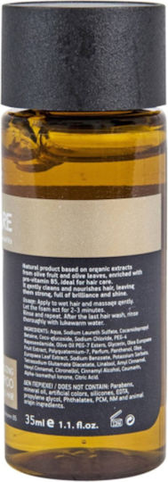 Olive Care Shampoo 33ml 50 Pieces