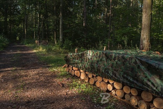 Camouflage Waterproof Tarpaulin 90g 6x12m Camoforest