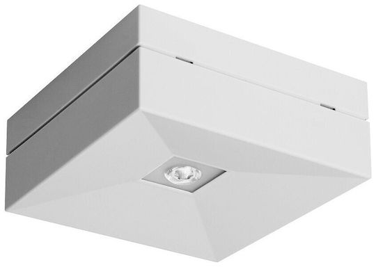 Awex LED Notfall-Sicherheitsleuchte mit Batteriebetrieben 1Stück