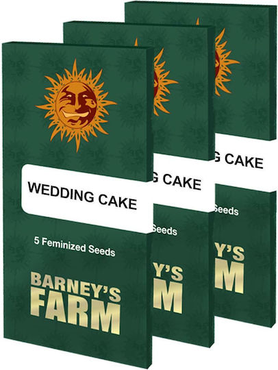 Barneys Farm Σπόροι