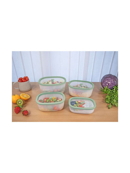 Status Plastic Lunch Box Green 2300ml