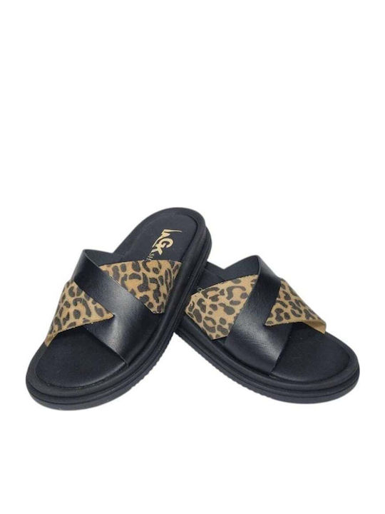 Gk Shoes