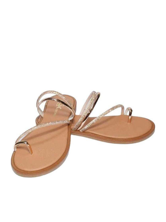Gk Shoes