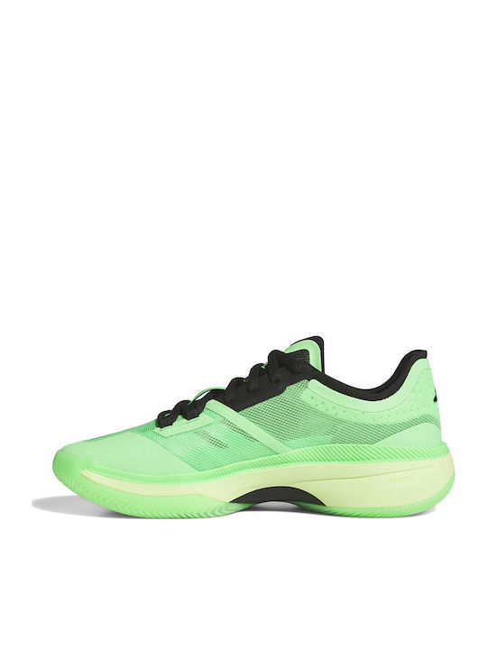 Adizero Select 3.0 Basketballschuhe Grün