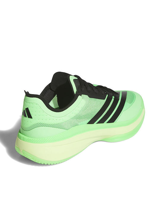 Adizero Select 3.0 Basketballschuhe Grün