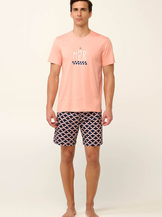 Vamp 22660