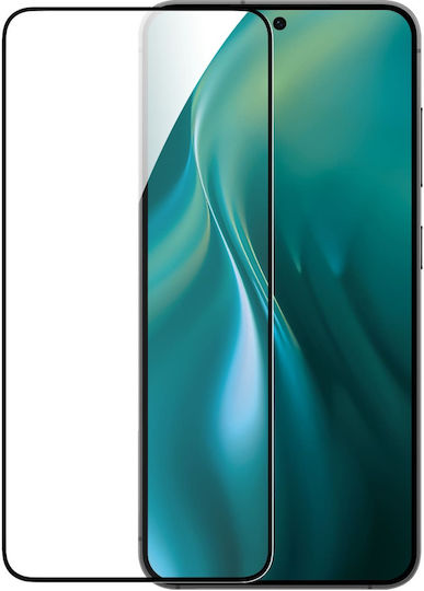 Etteri 9D Tempered Glass (Galaxy S25+)