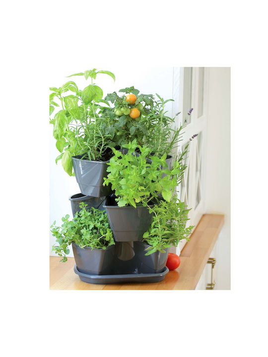 Prosperplast Γλαστράκια Βοτάνων Γλάστρα Πλαστική Anthracite 29.5x29.5x38εκ.