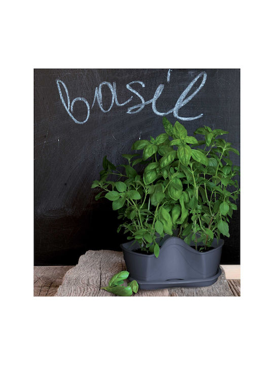 Prosperplast Γλαστράκια Βοτάνων Γλάστρα Πλαστική Anthracite 29.5x29.5x38εκ.