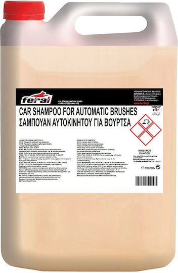 Feral Bürsten Shampoo Autoshampoo 4lt