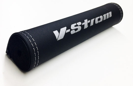 Burete Argintiu pentru Ghidon V-strom