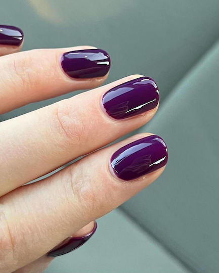 Zoya Nail Polish Long Lasting Quick Dry Ondine 15ml