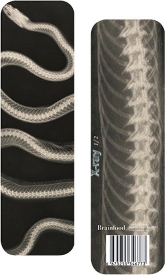 Разделител за книги Brainfood Xray Snake